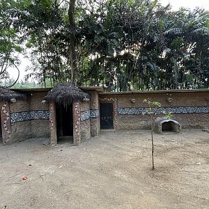 Agile Wallaby + Shetland Pony Exhibit - Royal Safari Garden Resort