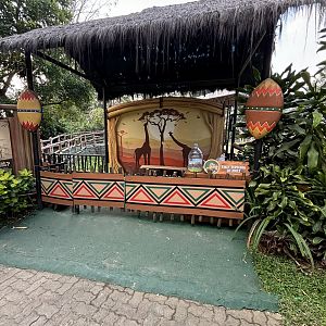 Giraffe Feeding Station - Royal Safari Garden Resort