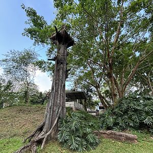 Ropes Course - Royal Safari Garden Resort