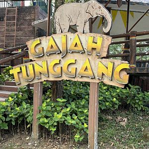 Elephant Ride Area - Royal Safari Garden Resort