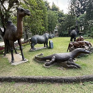 Assorted Animal Statues - Royal Safari Garden Resort