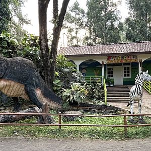 Assorted Statues - Royal Safari Garden Resort