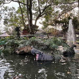 Hippo Statues - Royal Safari Garden Resort