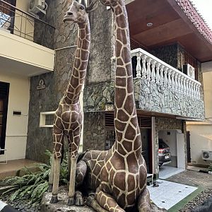Giraffe Statues - Royal Safari Garden Resort
