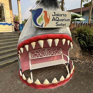 Aquarium Advertisement - Royal Safari Garden Resort