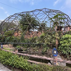 Ring-tailed Lemur Exhibit - Royal Safari Garden Resort