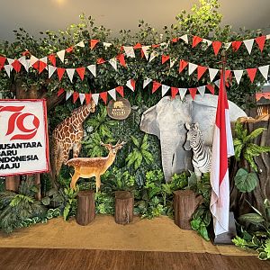 Photo Opportunity - Royal Safari Garden Resort