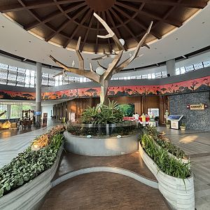 Hotel Lobby - Royal Safari Garden Resort