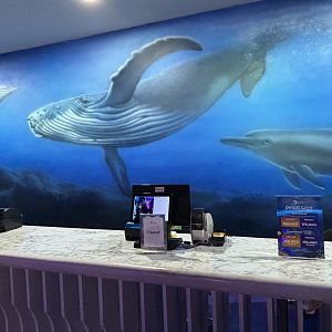 Ticket Counter - BXSea Aquarium