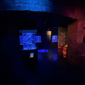 Seahorse Empire - BXSea Aquarium