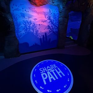 Shark Path Entrance - BXSea Aquarium