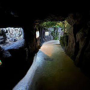 Rainforest Pathway - BXSea Aquarium