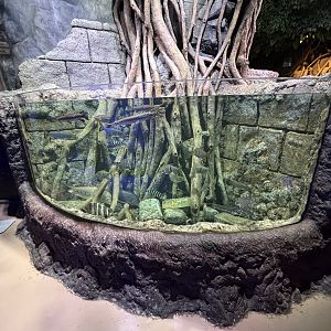 Mangrove Exhibit #3 - BXSea Aquarium