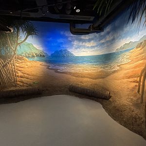 Mural - BXSea Aquarium