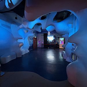 Jellyfish Hallway - BXSea Aquarium