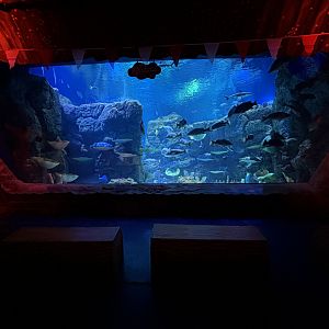 BXSea Aquarium