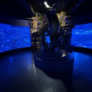 Sea Tunnel Centrepiece - BXSea Aquarium