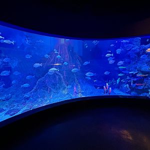 BXSea Aquarium