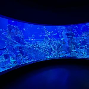 BXSea Aquarium