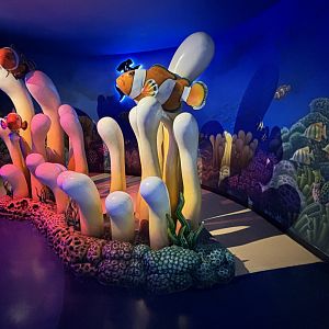 Photo Opportunity - BXSea Aquarium