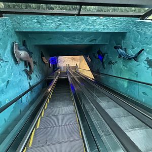 Escalator - BXSea Aquarium