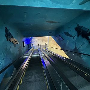 Escalator - BXSea Aquarium