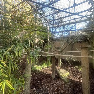 Red Ruffed Lemur Enclosure
