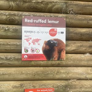 Red Ruffed Lemur Signage