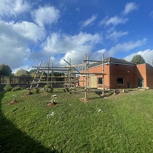 Gorilla Climbing Structure