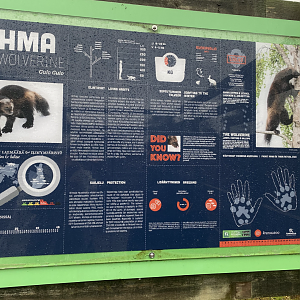 Old-type species info sign at Ranua Wildlife Park