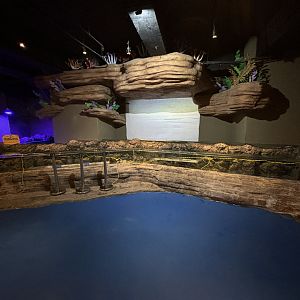 Touch Tank - temporarily closed