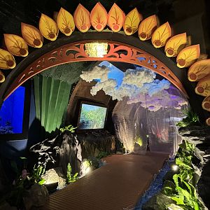 Fan-Sea Paradise: Explore Indonesia