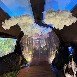 Fan-Sea Paradise: Explore Indonesia