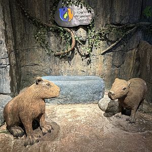Capybara Statues