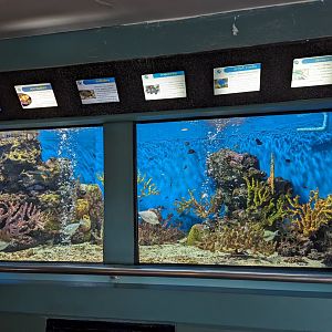 Example Small Exhibit - Rayong Aquarium