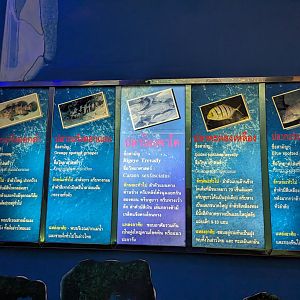 Signs Example - Rayong Aquarium