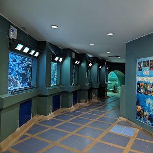 Row of Tanks - Rayong Aquarium