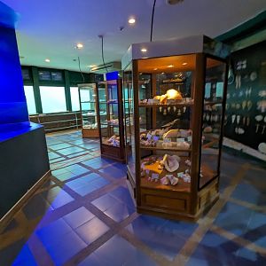 Part of the Extensive Shell Museum - Rayong Aquarium