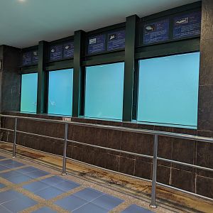 Marine Turtle Exhibit - Rayong Aquarium