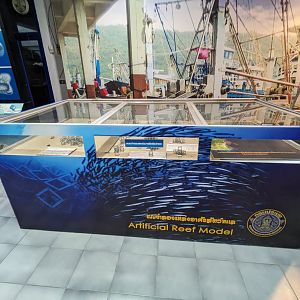 Part of the Artificial Reef Display - Rayong Aquarium