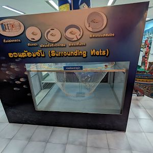 Display of Fishing Techniques - Rayong Aquarium