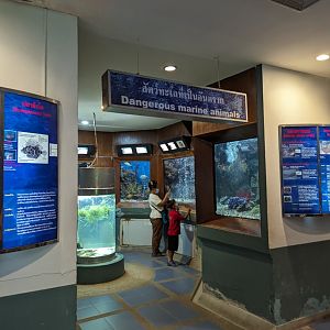 Dangerous Animals Exhibit - Rayong Aquarium