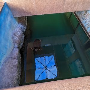 Marine Turtle Exhibit from Above - Rayong Aquarium