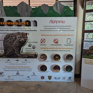 Display About Fishing Cats at one of their last Thai Strongholds - Khao Sam Roi Yot National Park