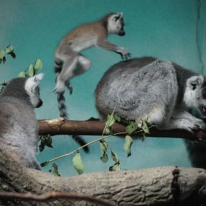 Moments Before disaster