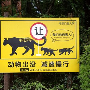 Leopard Crossing Sign