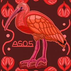 Scarlet Ibis