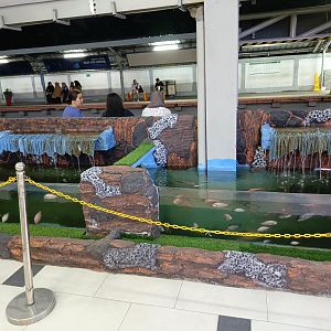 Paludarium at Pondok Ranji Train Station