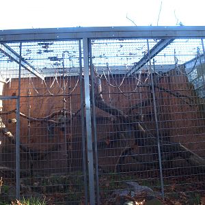 Äquatorium - Primate outdoor cage (Now no longer visible), 2014-10-19