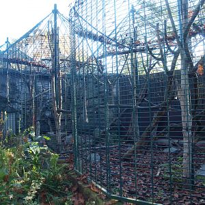 Äquatorium - Mandrill outdoor cage (Now no longer visible), 2014-10-19